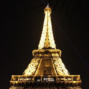 Meet your Posher, Molly